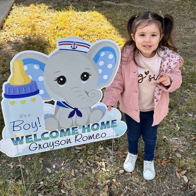 Welcome Home New Baby Teddy Bear or Elephant Yard Sign, Custom Name It's a Girl, Personalized Lawn Birth Announcement, Newborn Decoration