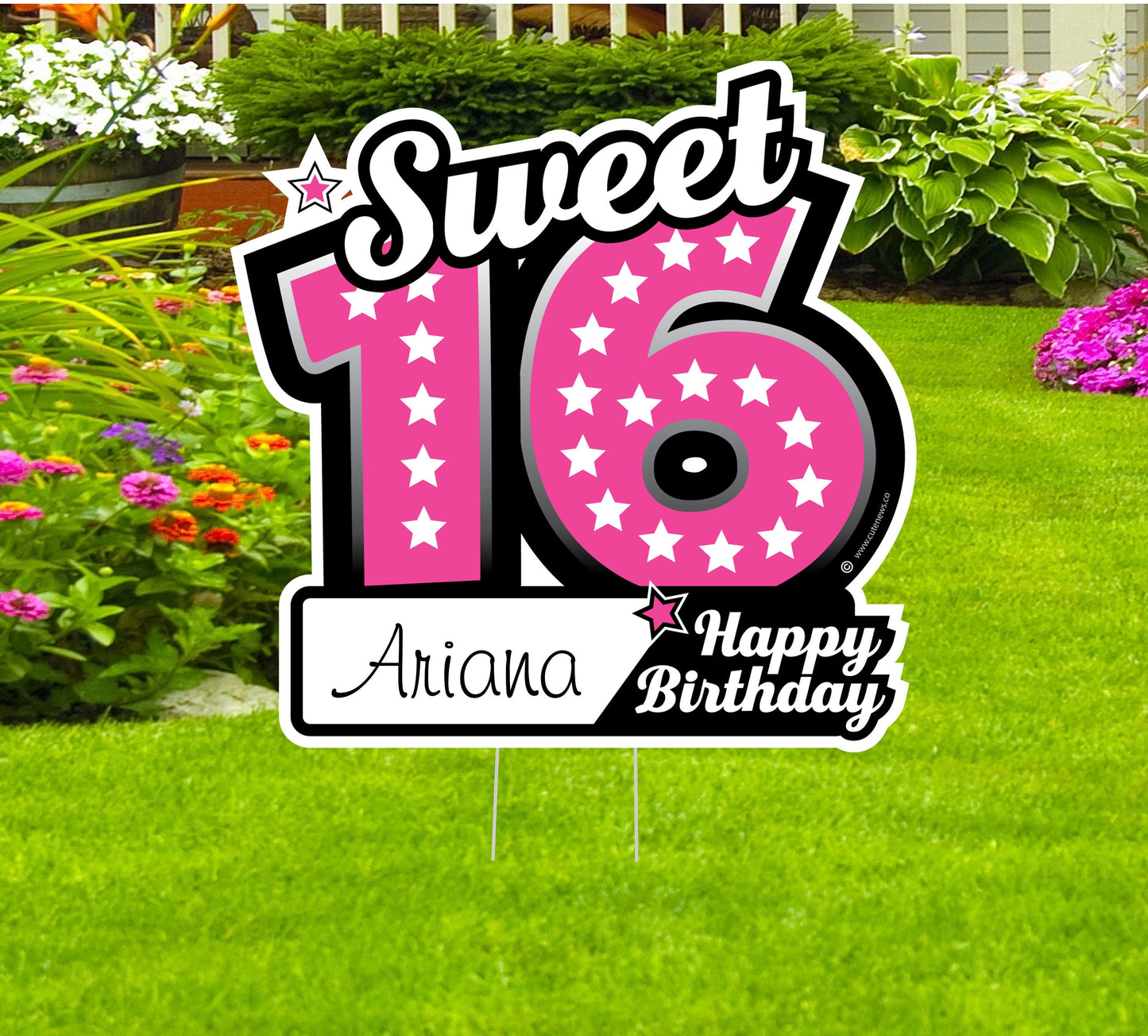 Sixteen Birthday Yard Sign, Happy Sweet 16 Birthday Lawn Decoration, Outdoor Personalized Art Cards, Honk Its My Birthday Celebration Custom