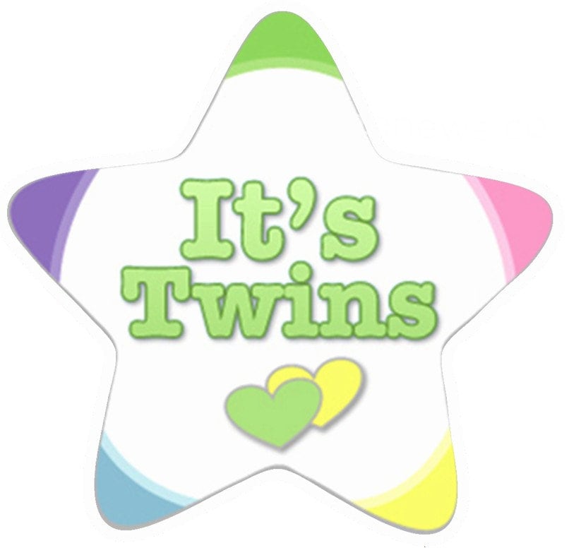 Twins Baseball Baby Yard Sign: Newborn Announcement Outdoor Lawn Decor