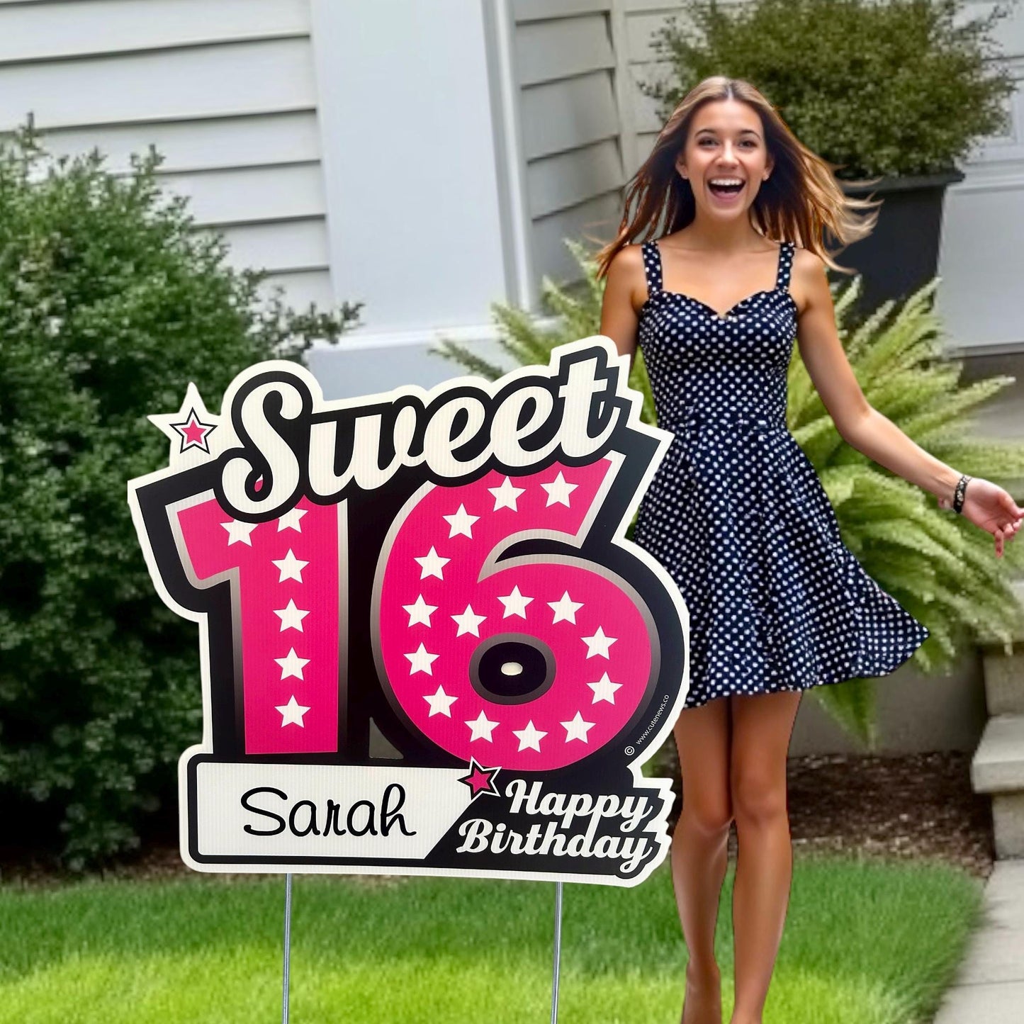 Sixteen Birthday Yard Sign, Happy Sweet 16 Birthday Lawn Decoration, Outdoor Personalized Art Cards, Honk Its My Birthday Celebration Custom