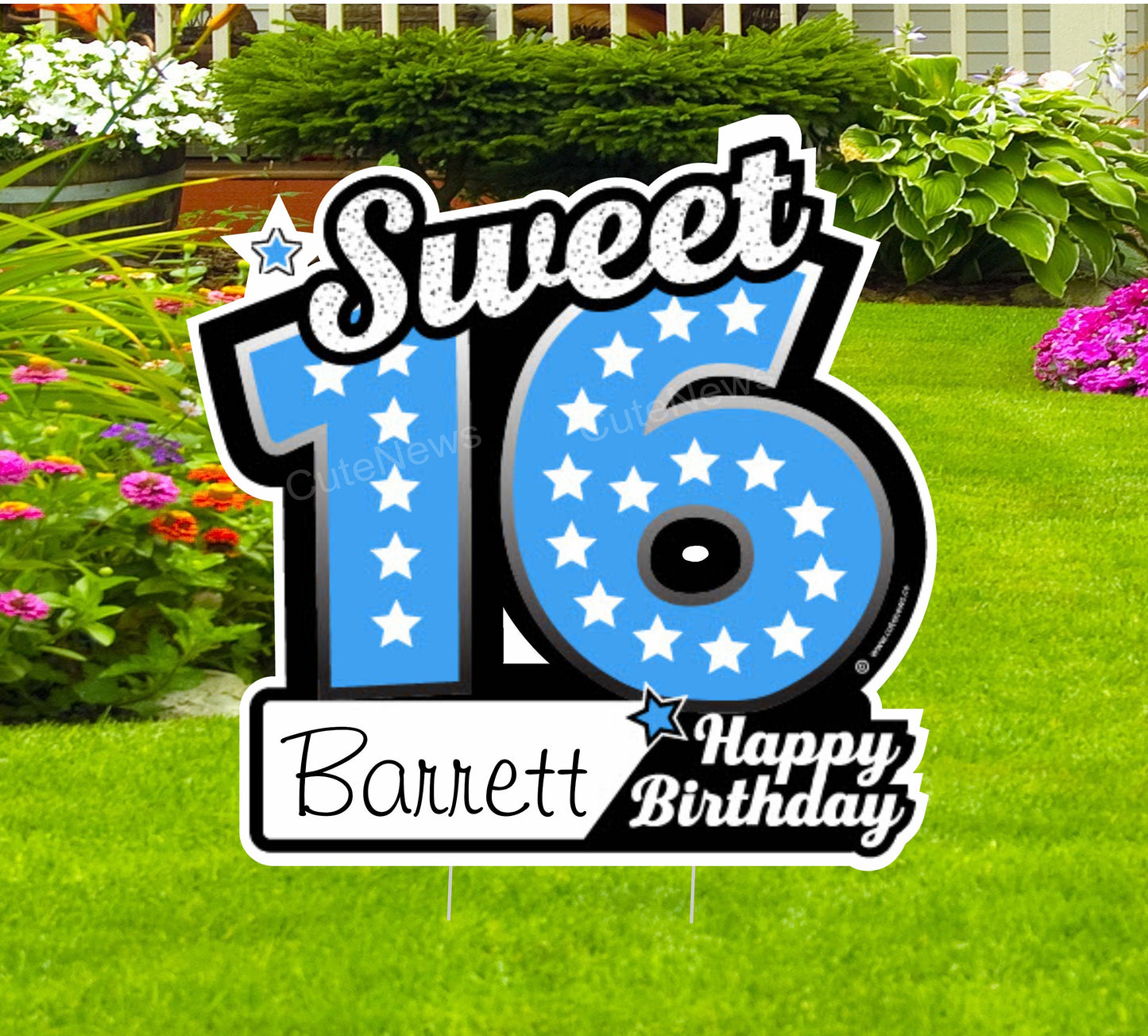 Sixteen Birthday Yard Sign, Happy Sweet 16 Birthday Lawn Decoration, Outdoor Personalized Art Cards, Honk Its My Birthday Celebration Custom