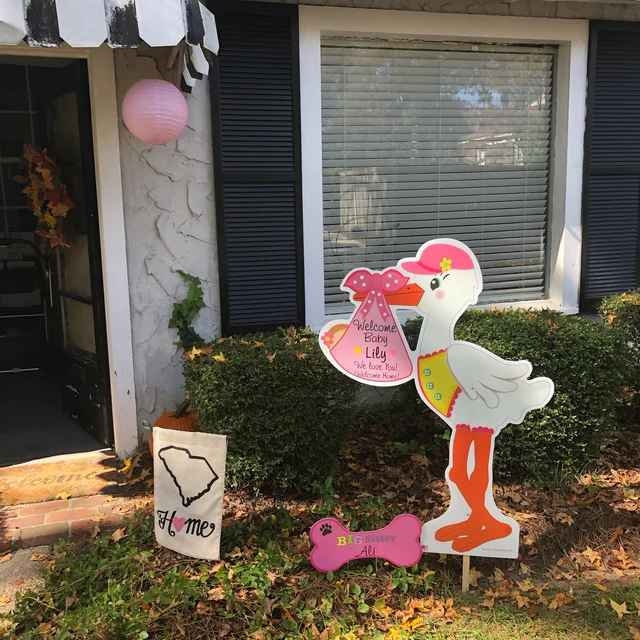 Welcome Home Baby Its a Girl, Boy Stork Yard Sign, Outdoor Newborn Decoration, Personalized Baby Announcement, Birth Arrival & Sibling Signs