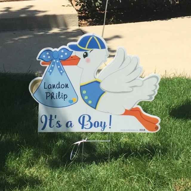 Stork Yard Sign – It’s a Boy or Girl Personalized Baby Announcement – Welcome Home Newborn Lawn or Garden Decoration for Birth Arrival