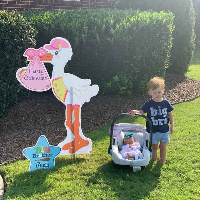 New Baby Boy Yard Stork Sign Kit, Custom Newborn Signs, Lawn Birth Announcement, Welcome It's a Girl Shower, Big Brother Gift, 4 ft tall