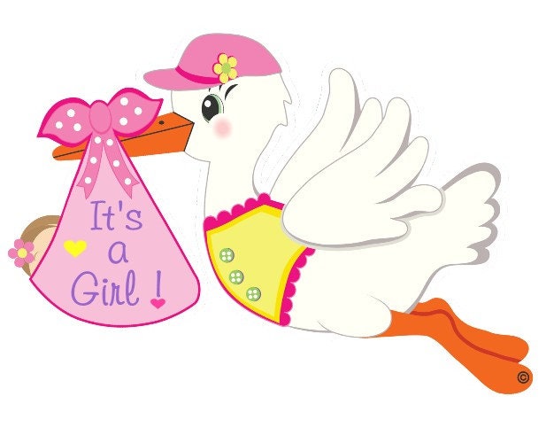 Personalized Stork Sign: Baby Announcement, Outdoor Door Hanger Decor