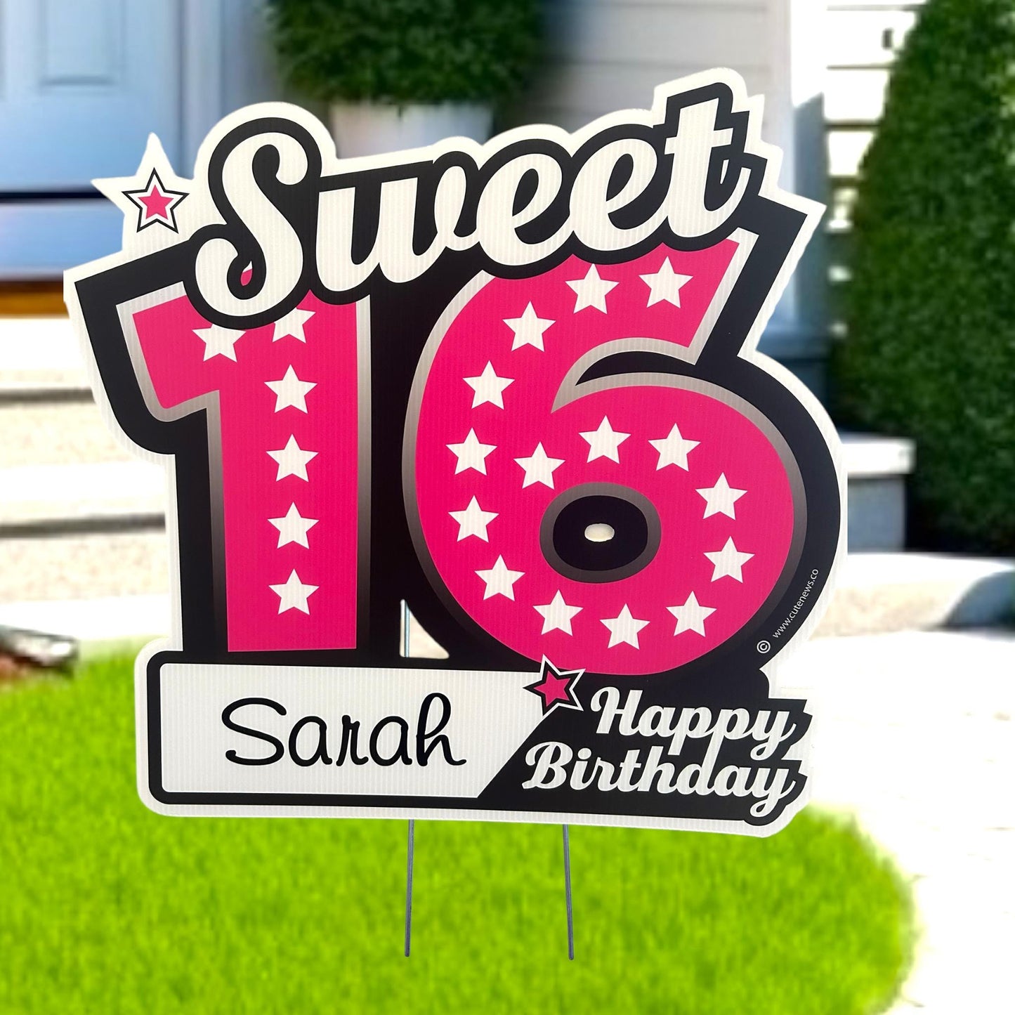Sixteen Birthday Yard Sign, Happy Sweet 16 Birthday Lawn Decoration, Outdoor Personalized Art Cards, Honk Its My Birthday Celebration Custom