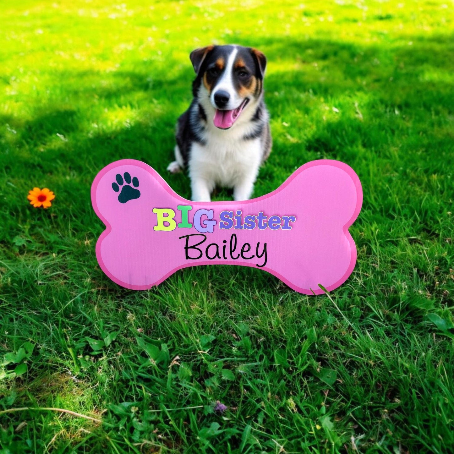 Yard Stork Sign Kit, Baby Birth Announcement, Custom It's a Boy with BIG Brother Decoration Star, Welcome Home Personalized Newborn Signs