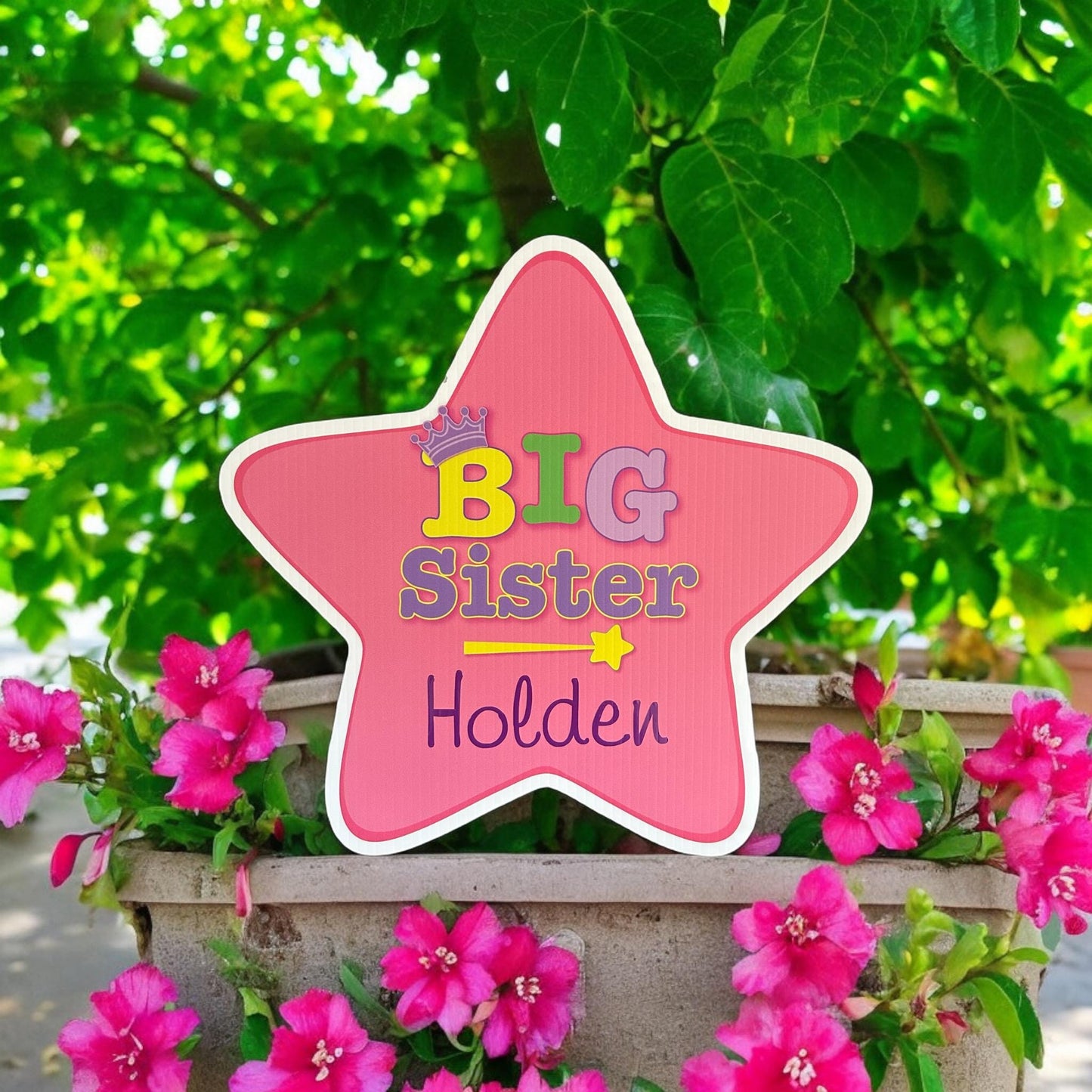 Welcome Home Baby Girl Stork Yard Sign: Big Brother or Sister Star Announcement Oudoor Decor