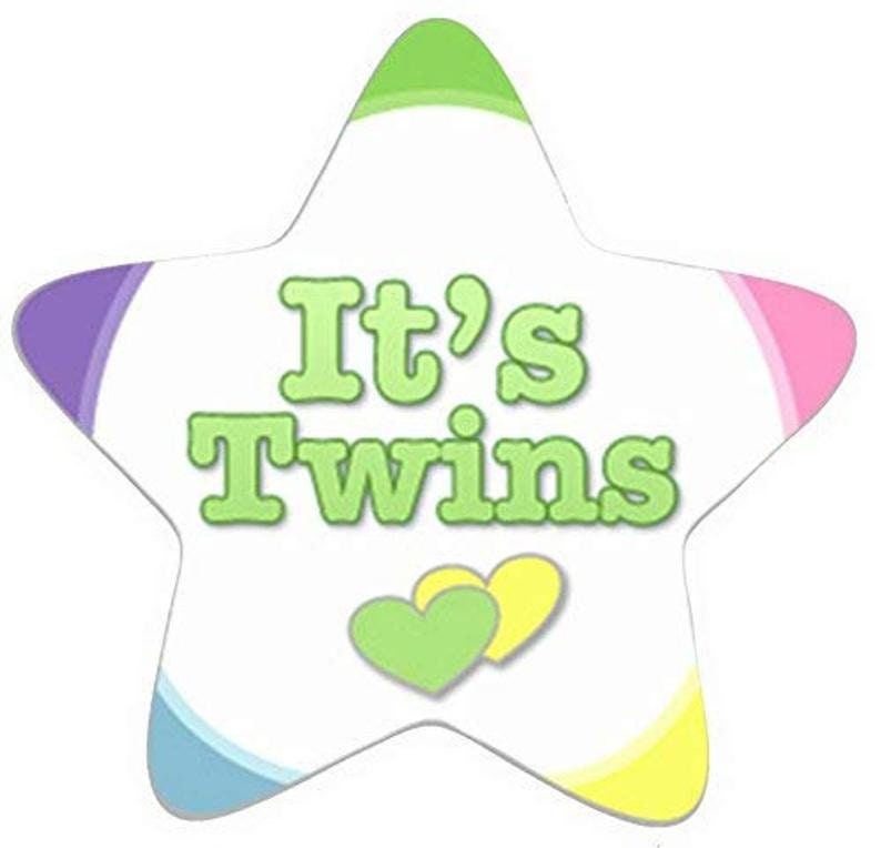 Twin Baby Announcement Yard Signs: Stork Decoration - Welcome Home Twins