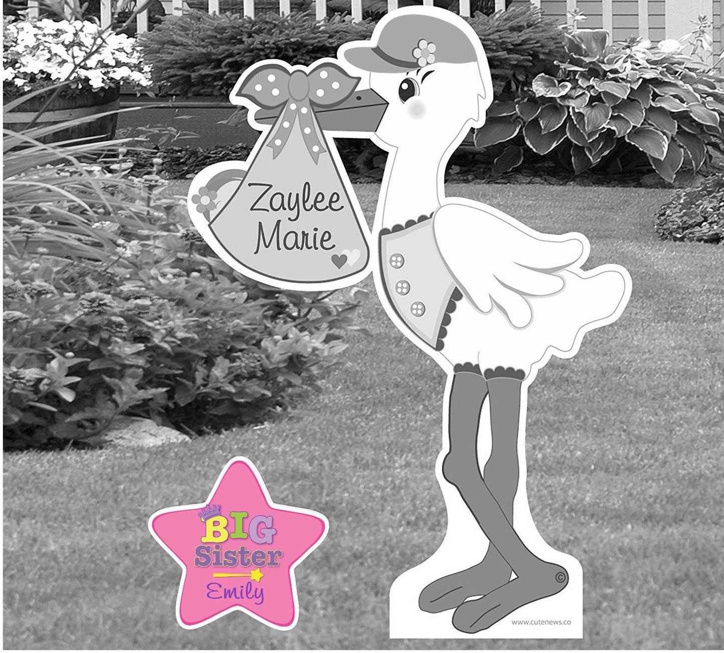 Custom Big Brother & Sister Star Signs: Baby Announcement Yard Decoration Set
