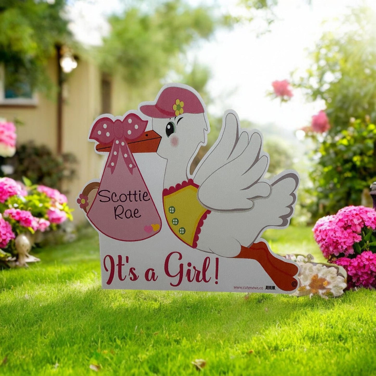 Yard Stork Sign Kit, Baby Birth Announcement, Custom It's a Boy with BIG Brother Decoration Star, Welcome Home Personalized Newborn Signs